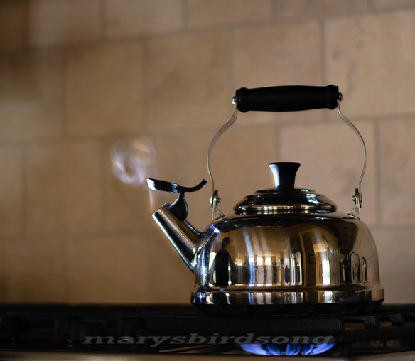 teapot more level brightername