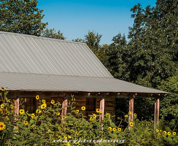 loghousewith sunflowerssizename001