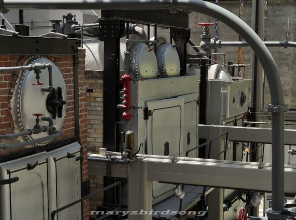 steamboilersnamesize001