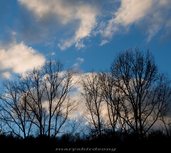 sunsetgatlinburg-2namesize002