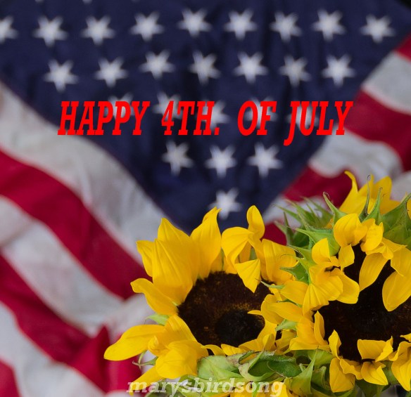 4th of july flagflowernamesize001