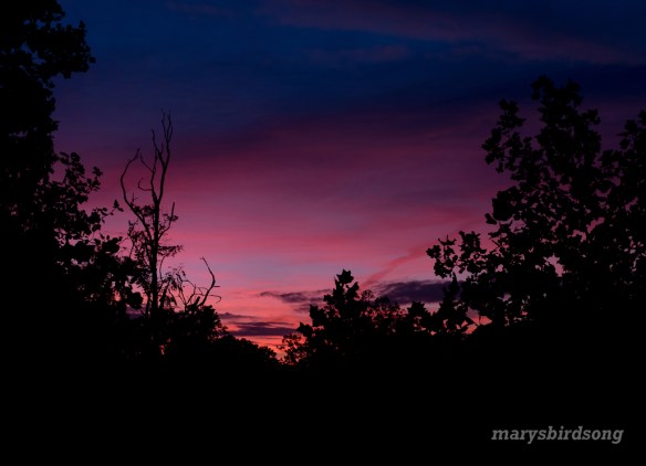 sunrise2-653amnamesize